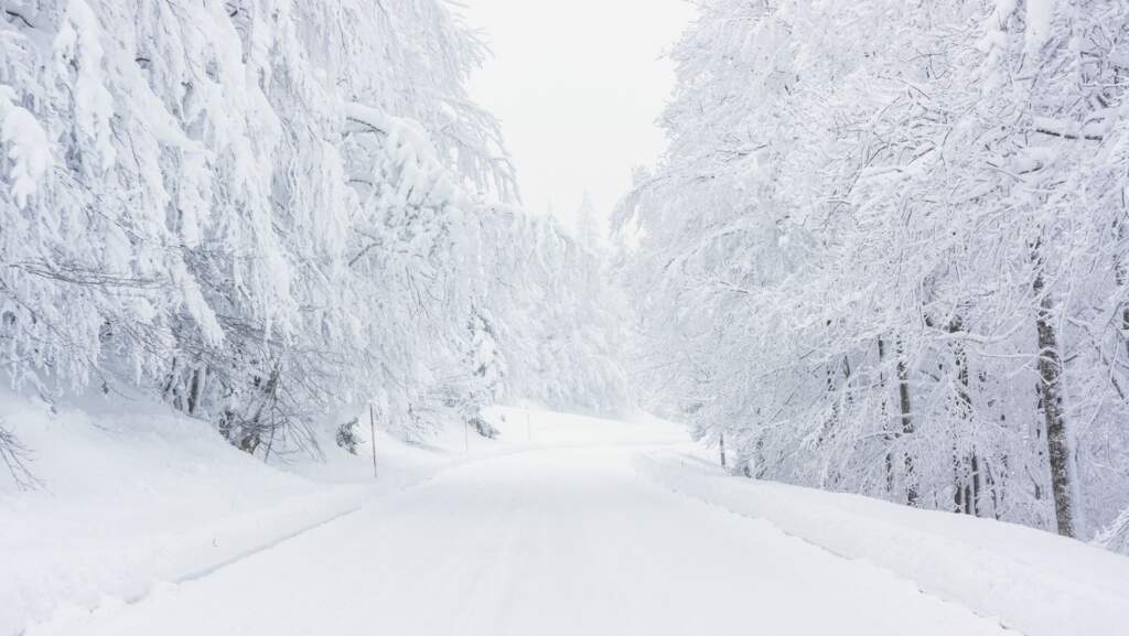 Yes, We Are Open Today, Tuesday January 20th