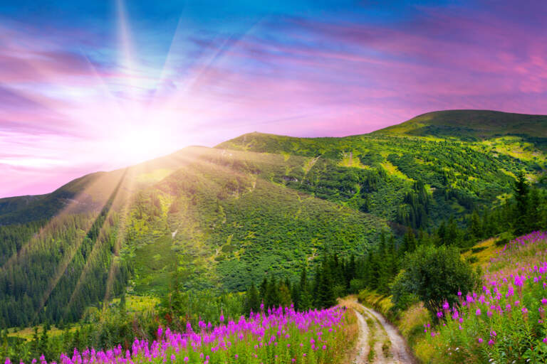 Recognizing Jesus Amidst the Turmoil of Life: Part 2