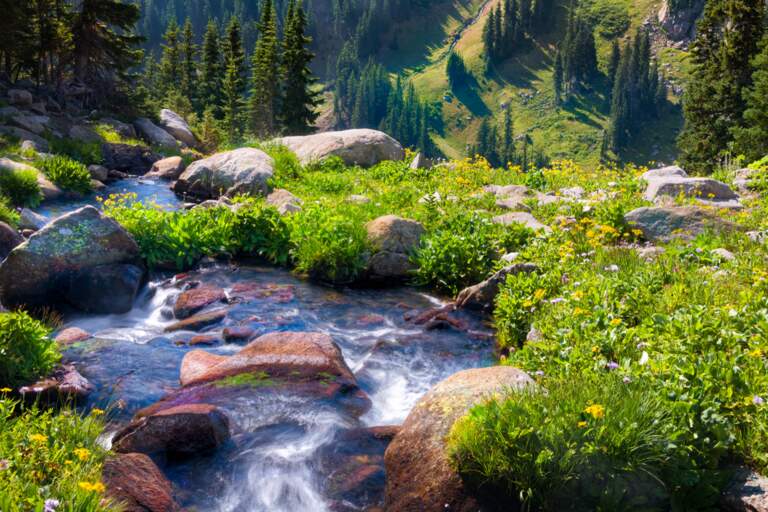 Bathed in God’s Grace: Part 2