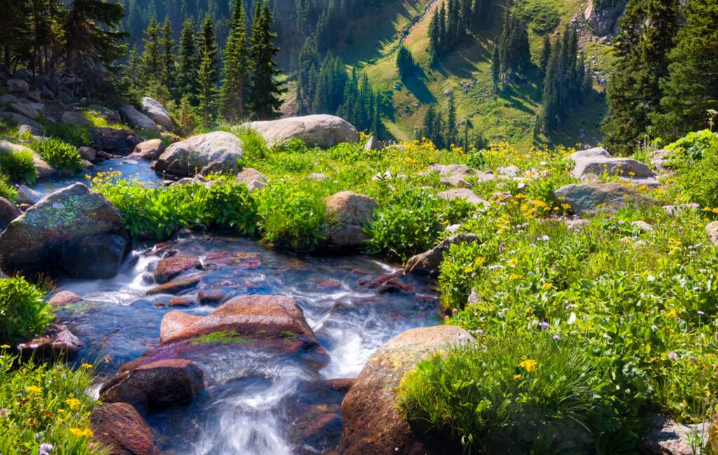 Bathed in God&rsquo;s Grace: Part 2