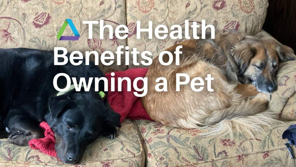 Happy "Love Your Pet Day"!