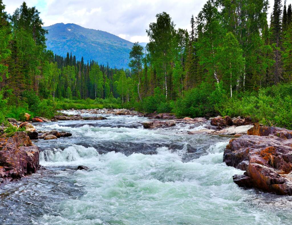 PART 1: &ldquo;THE RIVER OF LIFE JOURNEY CENTER&rdquo; 