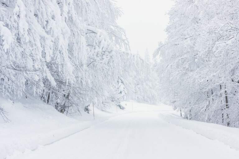 Yes, We Are Open Today, Tuesday January 20th